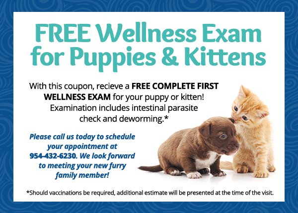 Free Wellness Exam for Puppies & Kittens. With this coupon, receive a Free Complete First Wellness Exam for your puppy or kitten! Examination includes intestinal parasite check and deworming. Should vaccinations be required, additional estimate will be presented at the time of the visit. Please call us today to schedule your appointment at 954-432-6230. We look forward to meeting your new furry family member!